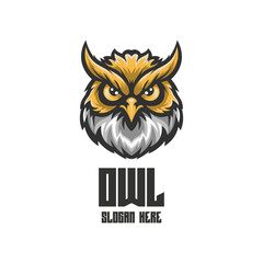 Illustration Owl Mascot Logo Illustration
