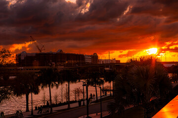 Tampa city sunset view 