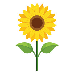 Fototapeta premium Vector a yellow sunflower with green leaves with flat illustration style