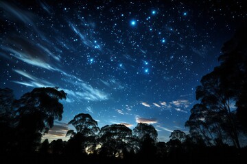 A natural landscape with a starfilled sky and trees in the foreground - Powered by Adobe