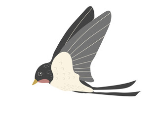 空飛ぶツバメのイラスト