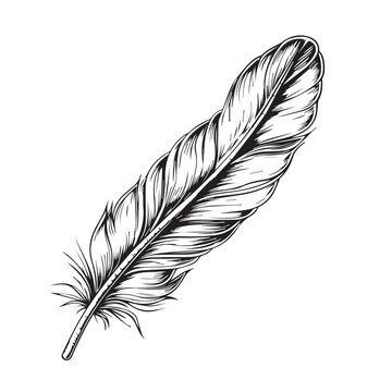 Feather in cartoon, doodle style . Image for t-shirt, web, mobile apps and ui. Isolated 2d vector illustration in logo, icon, sketch style, Eps 10, black and white. AI Generative
