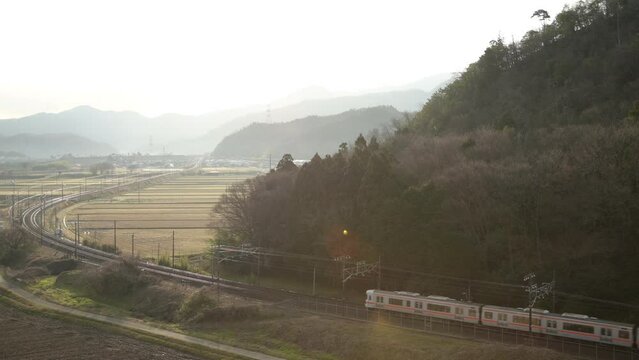 早春の朝陽を浴びて走る313系普通列車 （東海道本線 米原 - 醒ヶ井, 2024年3月）