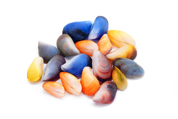 Colorful mussels isolated on white background. Beautiful Colorful seashell of Thai Blue Mussels...