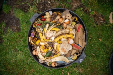 worms in the soil on a farm compost bin Holding soil in a hand, feeling compost in a field in...