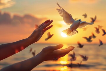 Hands Releasing Dove at Golden Sunset