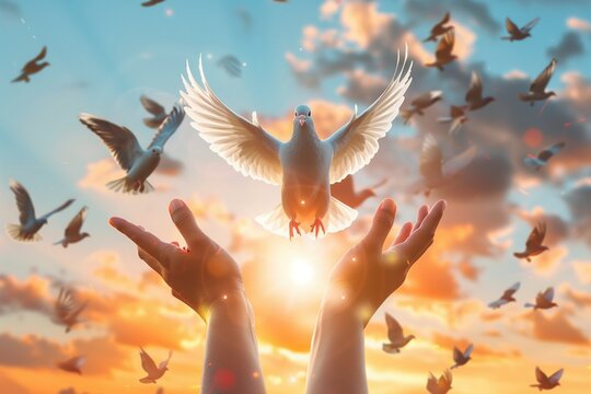 Hands Releasing Dove at Golden Sunset