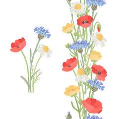 seamless pattern garland with blue cornflowers, daisies, buttercups and red poppies, field flowers, vector drawing wild plants at white background, floral design, hand drawn botanical illustration