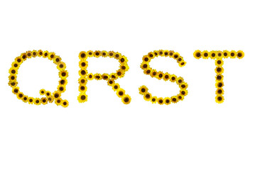 Image of sunflowers arranged as separate QRST letters on a transparent background png file.