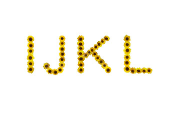 Image of sunflowers arranged in letters IJKL, isolated on a transparent background png file.
