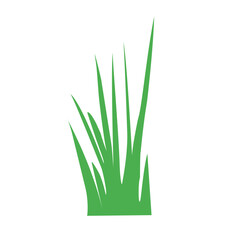 Green grass vector illustration