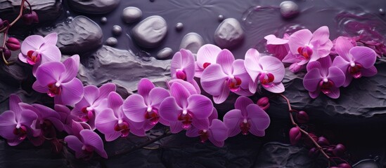 A bouquet of purple orchids elegantly arranged on a dark rock, showcasing their vibrant petals in shades of violet, pink, and magenta