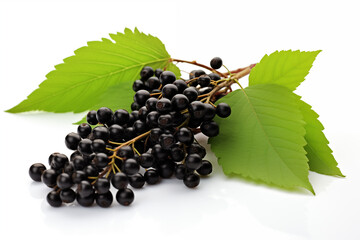 A healthy diet boosts the immune system. Black elderberries isolated on white background. AI generation.