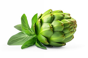 A fresh artichoke is isolated against a white background. AI generation.