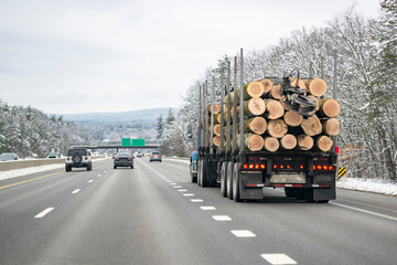 Powerful blue big rig semi truck transporting wood logs on two semi trailers driving on the winter wide highway road