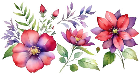 Set of watercolor flowers. Hand-drawn illustration on a white background.