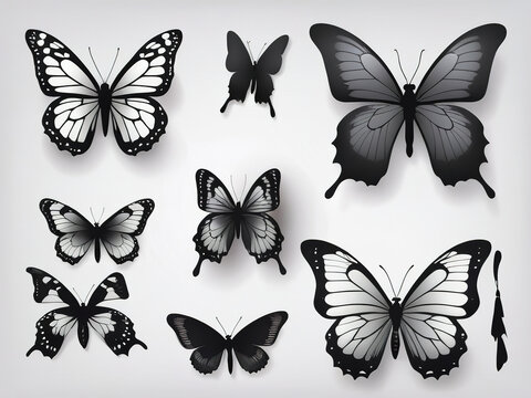 Set of black butterflies isolated on white background. Vector illustration for your design