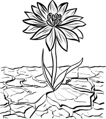 Flower bloom from dry ground, Black and white sketch of a flower for floral design or botanical illustration