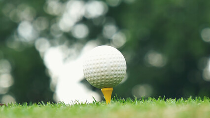 Golf ball on tee in green golf field with recreation sport training course. Tee and ball Sports Equipment in Golf Tournament.