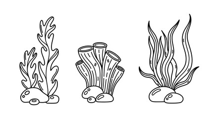 Seaweed and coral pipe sponge, vector set. Edible sea grass, kelp and spirulina. Ocean algae, sea creature on the seabed among the stones. Aquatic reef plant. Hand drawn black and white simple doodle © shamanistik_art