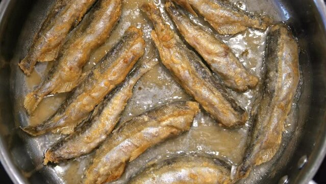 Fried Fish In Pan. Fish Frying In Oil. Roasted Seafood Cuisine 4K