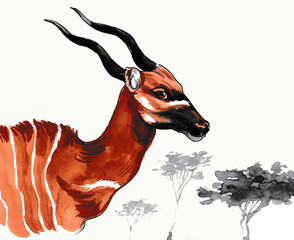 African antelope. Hand drawn ink and watercolor illustration - 756140714