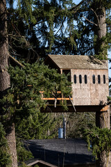 Old wood treehouse built between two large evergreen fir trees, kids fun playhouse on a sunny day
