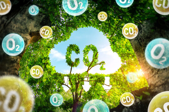 Concept depicting the issue of carbon dioxide emissions and its impact on nature in the form shape of a co2 symbol located in a lush forest. Reduce CO2 emission concept. oxygen O2  molecules.