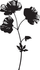 Geranium Flower Silhouette Vector Illustration White Background