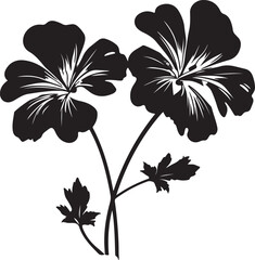 Geranium Flower Silhouette Vector Illustration White Background