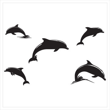 Jumping dolphins isolated on white background