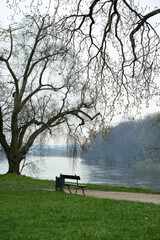 An outdoor bench is placed under a tree on the grassy bank by the river Elbe, creating a peaceful spot to enjoy the natural landscape with water, sky, and plantfilled surroundings. Spring season
