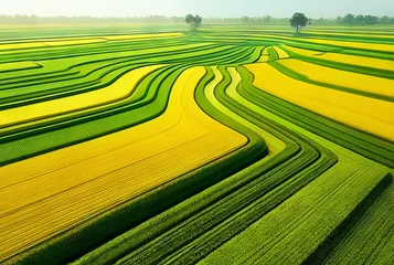 Poster Aerial view of yellow and green agricultural fields. Agricultural landscape. © Steve