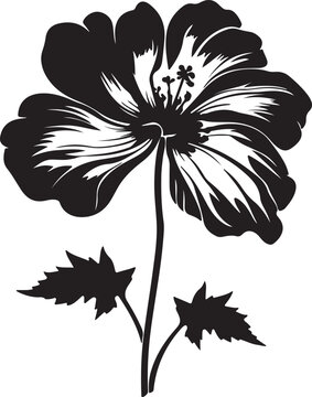 Begonia Flower Silhouette Vector Illustration White Background