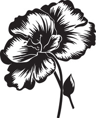 Begonia Flower Silhouette Vector Illustration White Background