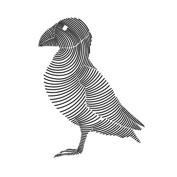 recommend clip art: Simple line art illustration of an Atlantic puffin 3