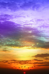 sunset colorful purple blue yelllow orange sky and dark cloud and sun lower flame with silhouette bird