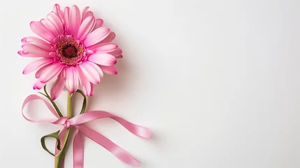 Foto op Plexiglas Pink Gerbera Daisy with Ribbon © TY