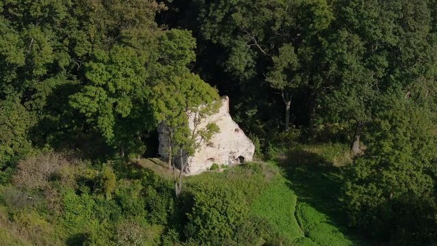 Castle Ruins Park Forest Krupe Aerial View Poland