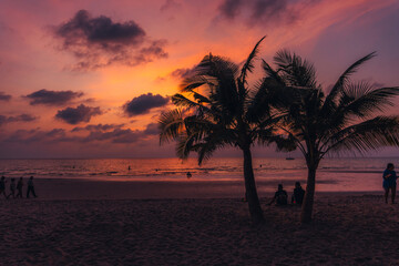 Tropical beach Sunset,Palm trees on sandy island in the ocean