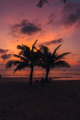Tropical beach Sunset,Palm trees on sandy island in the ocean