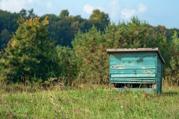 A bee hive made of wood standing in a field or forest. beekeeping. Nature. place for text. Summer.