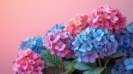 Fototapeta premium AI art, hydrangea background 紫陽花の背景