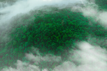Aerial view of dark green misty landscape. Morning time. Rich natural ecosystem, humid forest. Natural forest conservation concept	
