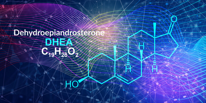 Androstenone or dehydroepiandrosterone chemical formula. Neurotransmitter and human hormones in brain