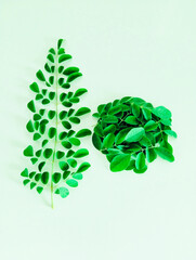 Moringa plant green leaves closeup moringaoleifera tree leaves of drumsticktree horseradishbranch ben oil benzolive sltree plantpart suhanjana pata image stockphoto