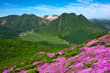 大分県　平治岳のミヤマキリシマと九重連山