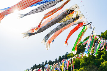 日本の風景・春　群馬県神流町　神流川公園の鯉のぼり