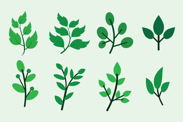 a set of different leaves illustration design