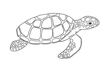 Vector outline sea turtle isolated on white background. Hand drawn line doodle illustration ocean or underwater animal